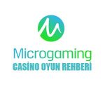 Microgaming casino oyun rehberi